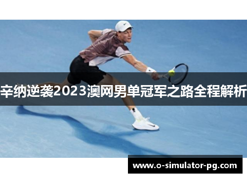 辛纳逆袭2023澳网男单冠军之路全程解析