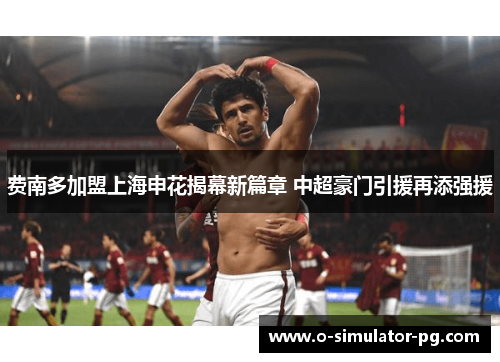 费南多加盟上海申花揭幕新篇章 中超豪门引援再添强援