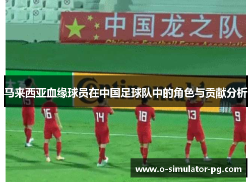 马来西亚血缘球员在中国足球队中的角色与贡献分析